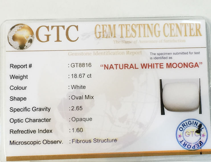 20.50 ratti/18.67 ct Natural Certified  White Coral/सफ़ेद मूंगा
